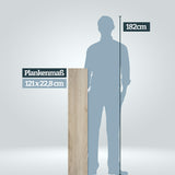 Größenvergleich Plankenlänge 121 cm im Vergleich zu einer Persson mit 182 cm Körpergröße