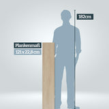 Größenvergleich Plankenlänge 121 cm im Vergleich zu einer Persson mit 182 cm Körpergröße