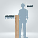 Größenvergleich Plankenlänge 121 cm im Vergleich zu einer Persson mit 182 cm Körpergröße