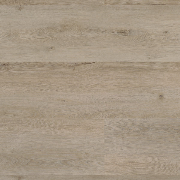 Topdown Verlegebild von Klick-Vinyl Eiche Fürth markantes Dekor in Holzoptik mit Mikrofase