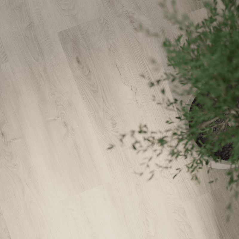 Lifestylebild von Klick-Vinyl Eiche Husum markantes Dekor in Holzoptik