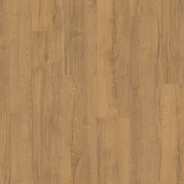 Topdown Verlegebild von Laminat Eiche Fürstenwald markantes Dekor in Holzoptik mit lackierte 4V-Fase