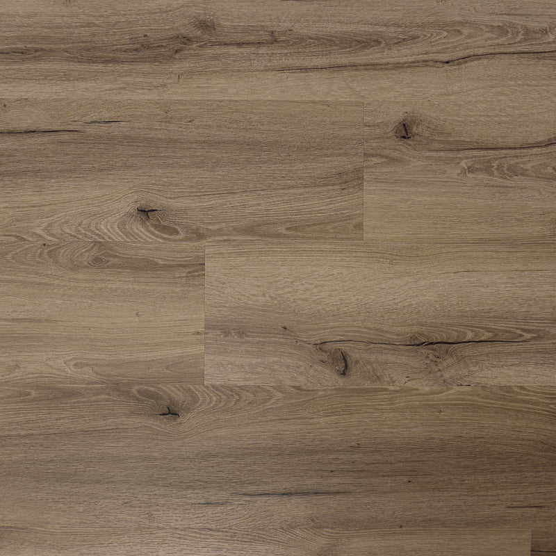 Bodenglueck Klick Vinyl Premium Eiche Juist Braun Rigid Trittschall Integriert