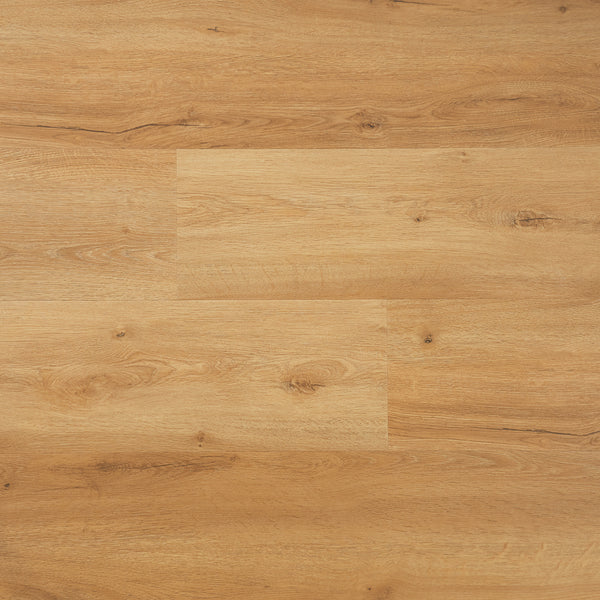 Topdown Verlegebild von Klick-Vinyl Eiche Memmert markantes Dekor in Holzoptik mit integrierter Trittschalldämmung